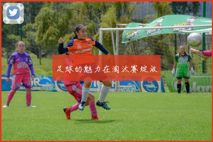 足球的魅力在淘汰赛绽放