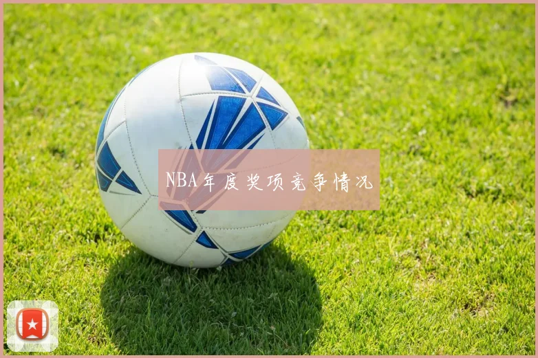 NBA年度奖项竞争情况