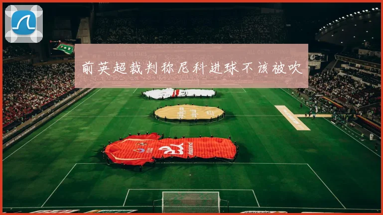 前英超裁判称尼科进球不该被吹
